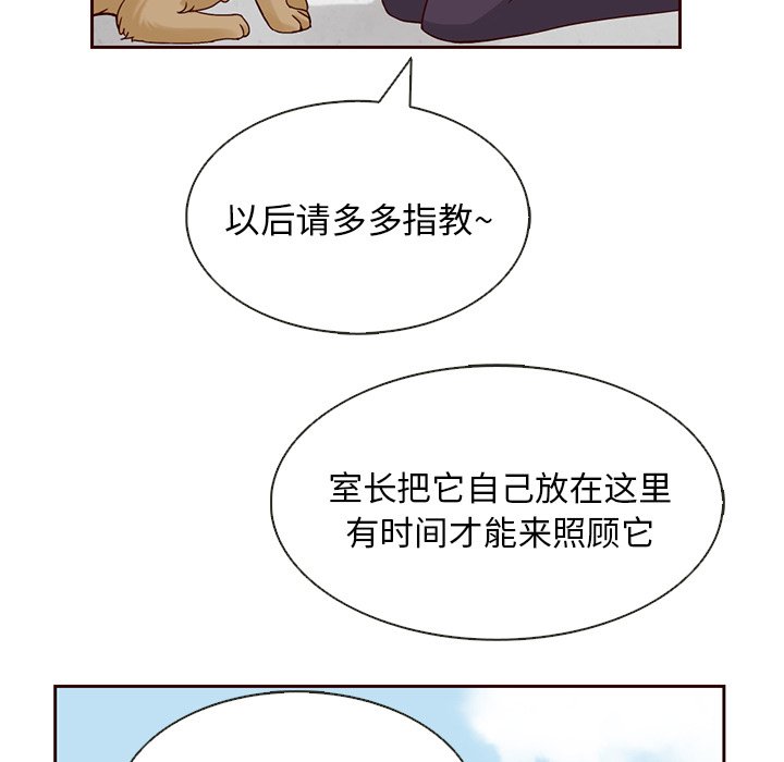第13話 - 第68张