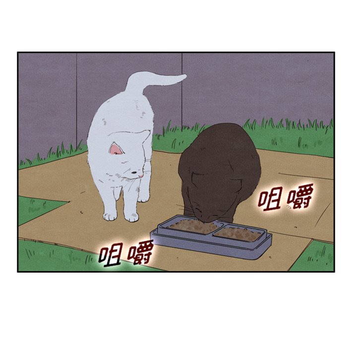 第43話 - 第95张