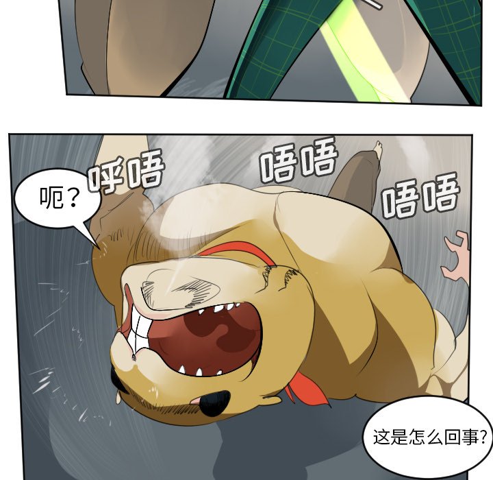 第107話 - 第37张
