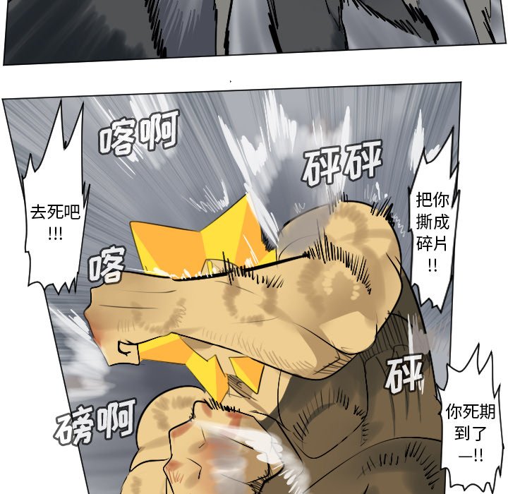 第164話 - 第12张