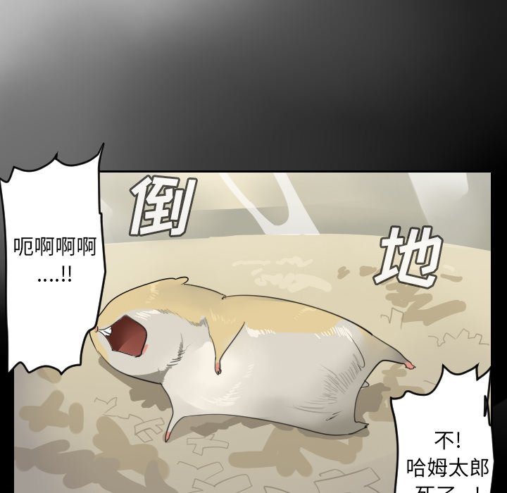 第79話 - 第19张