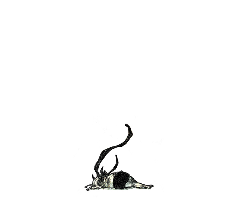 第15話 - 第196张