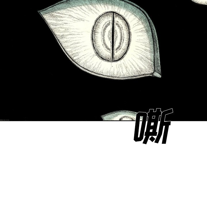 第25話 - 第54张