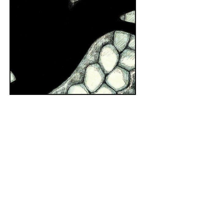 第5話 - 第97张