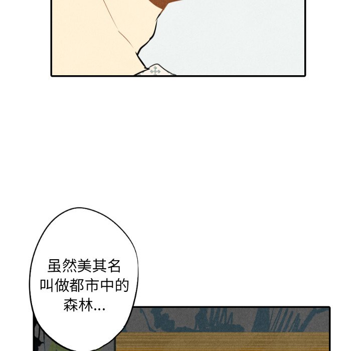 第22話 - 第64张