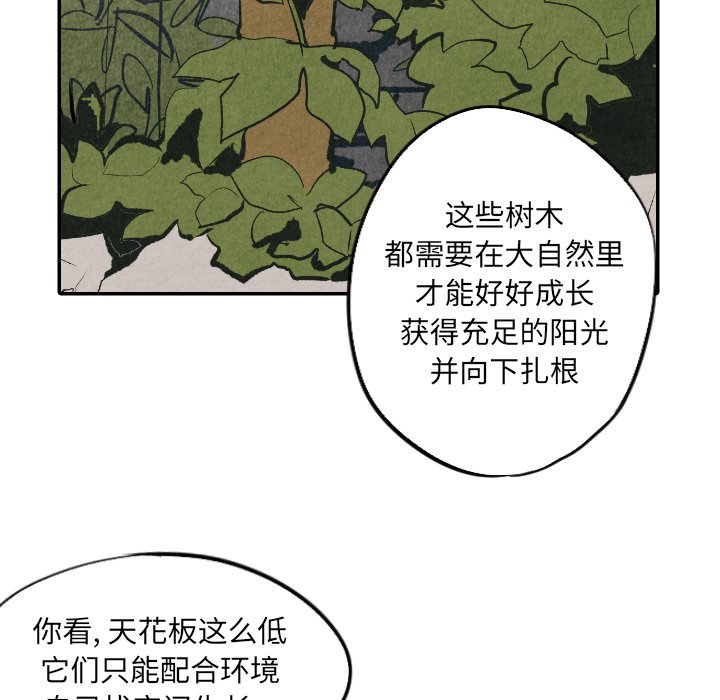 第22話 - 第67张