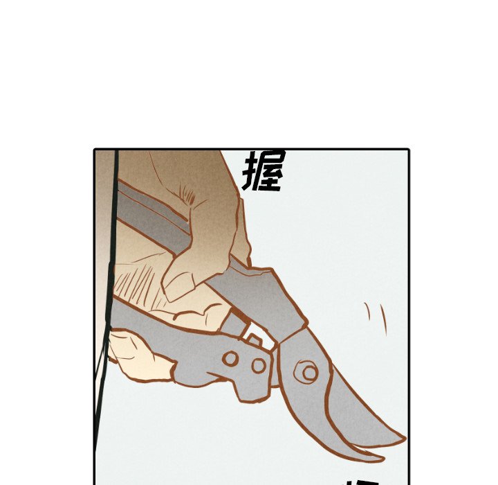 第22話 - 第84张