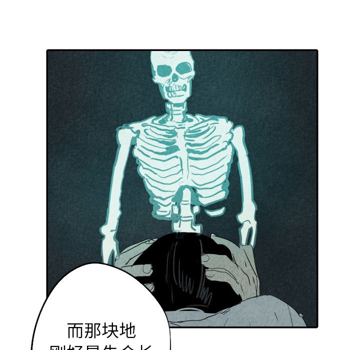 第27話 - 第97张