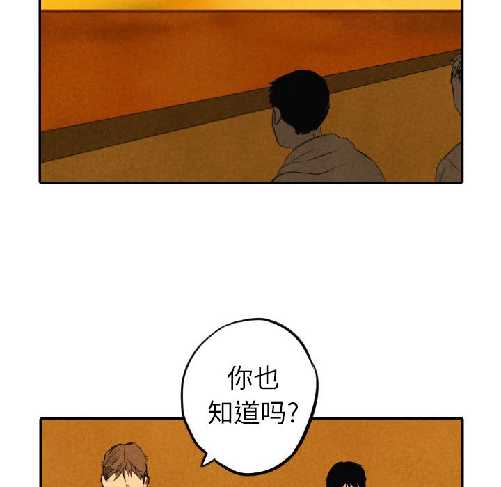 第41話 - 第66张