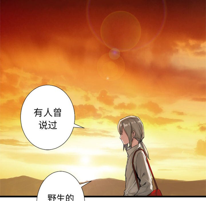第13話 - 第45张