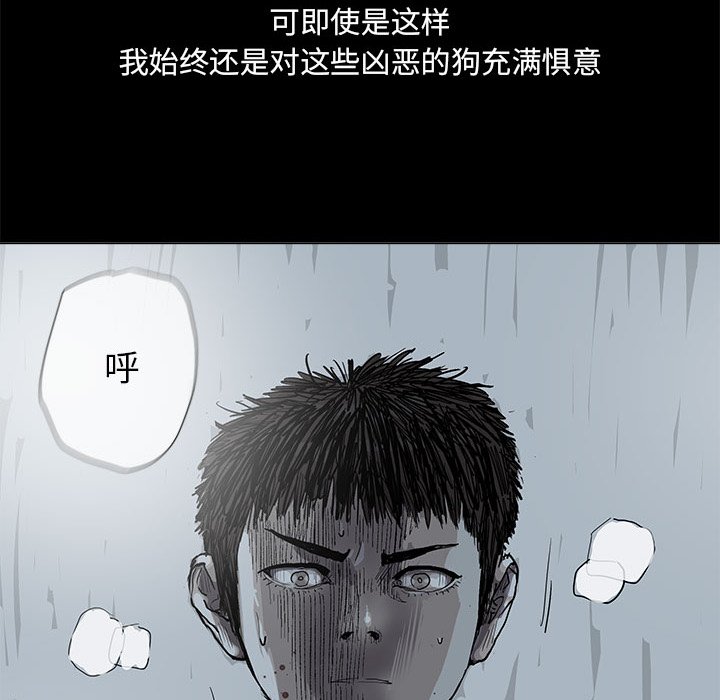第43話 - 第41张