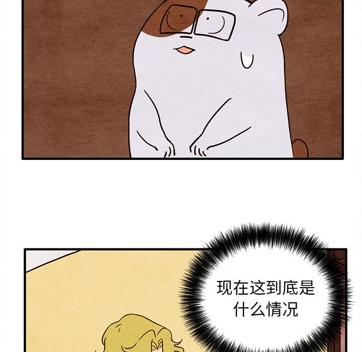第19話 - 第11张