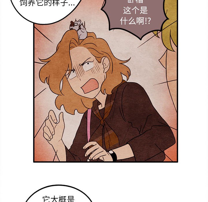 第19話 - 第28张