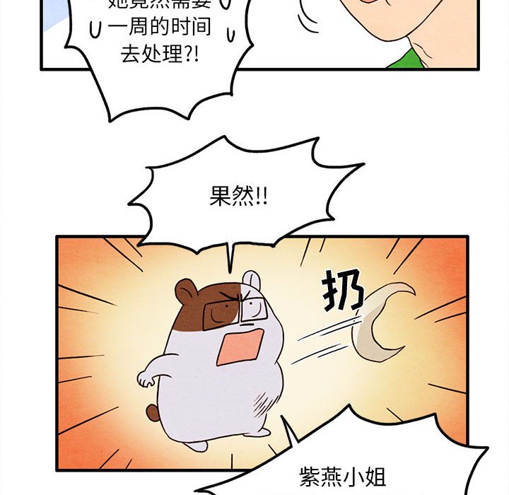 第25話 - 第44张