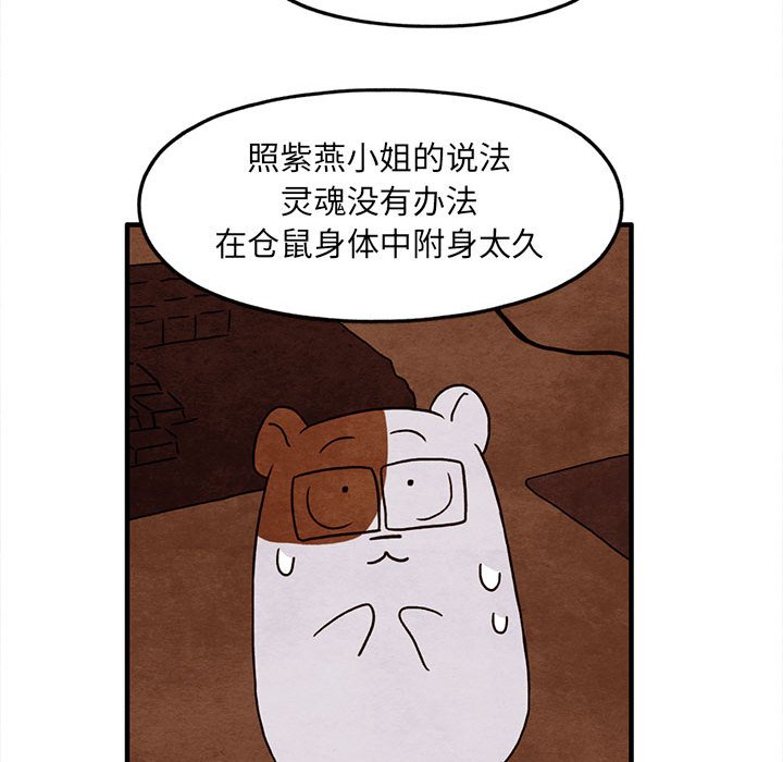 第26話 - 第43张