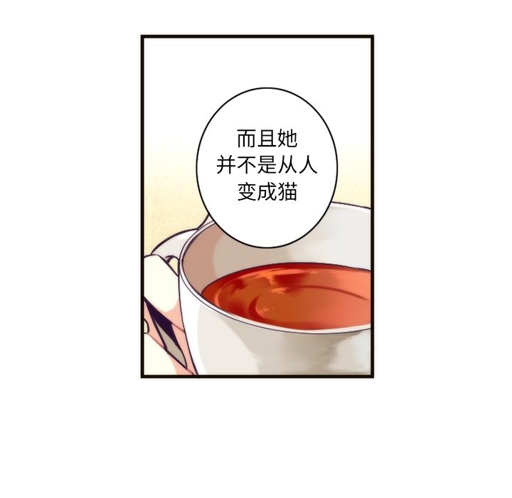第19話 - 第27张