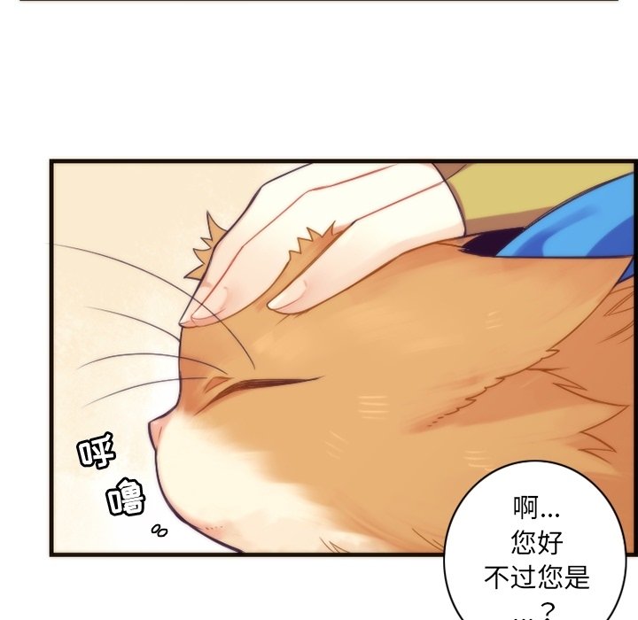 第24話 - 第50张