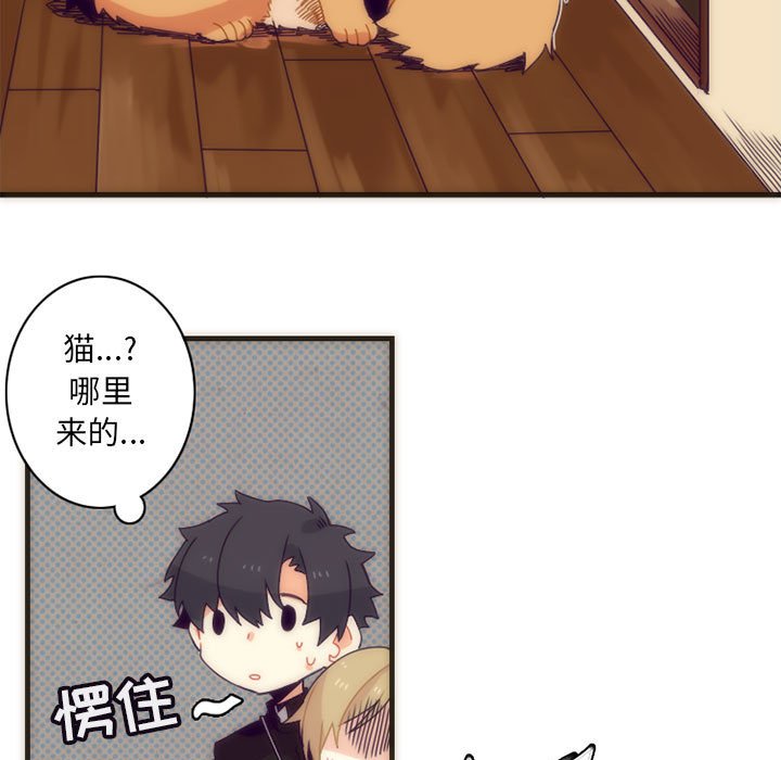 第5話 - 第12张