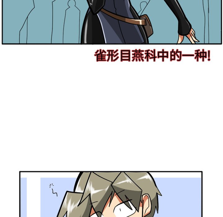 第25話 - 第37张