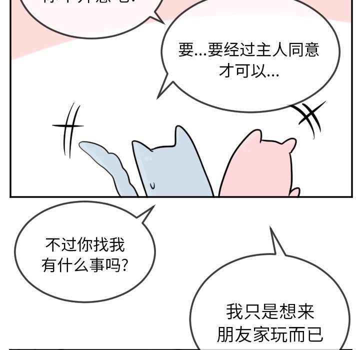 第19話 - 第31张