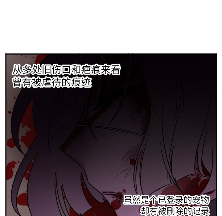 第36話 - 第19张