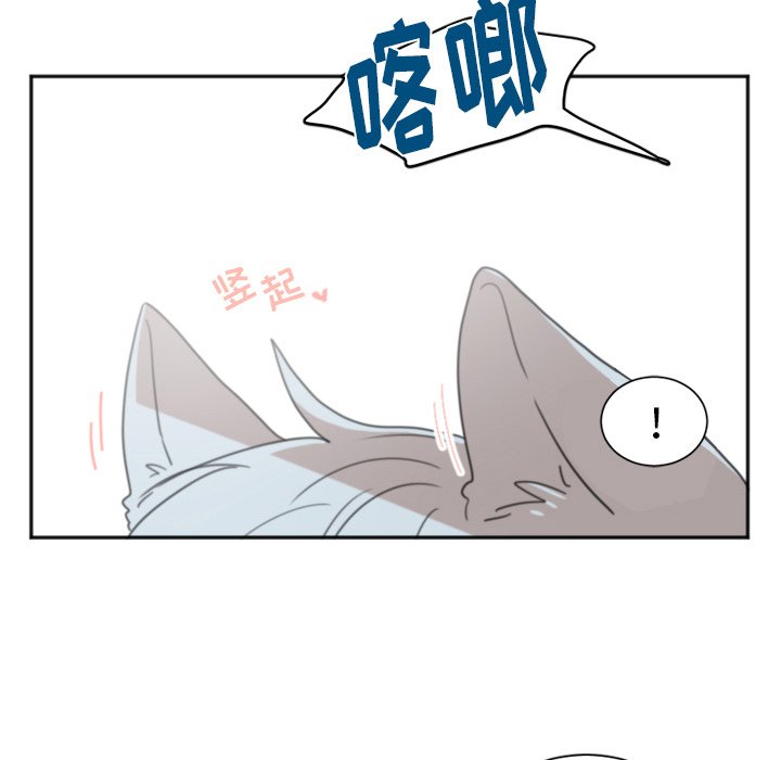 第5話 - 第12张