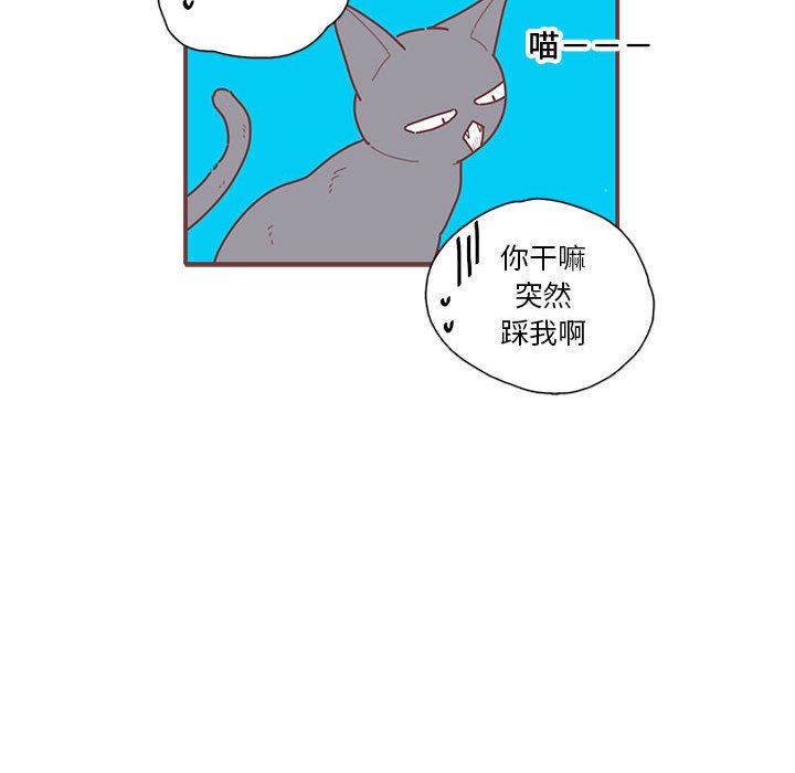 第17話 - 第36张