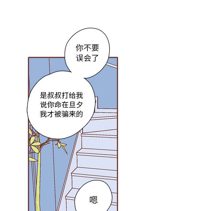 第40話 - 第81张