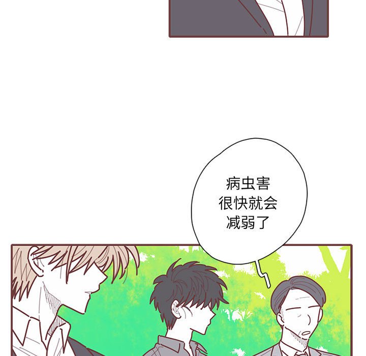第52話 - 第46张