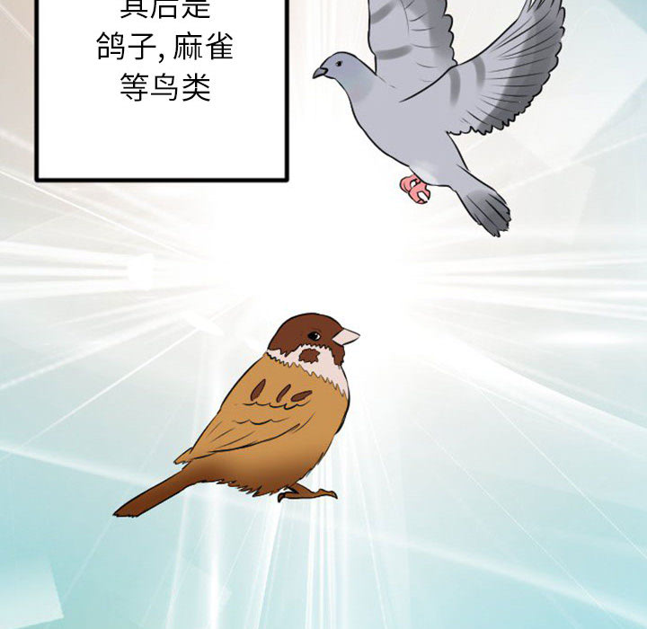 预告篇 - 第9张