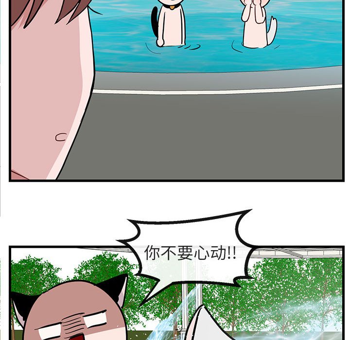 第34話 - 第78张
