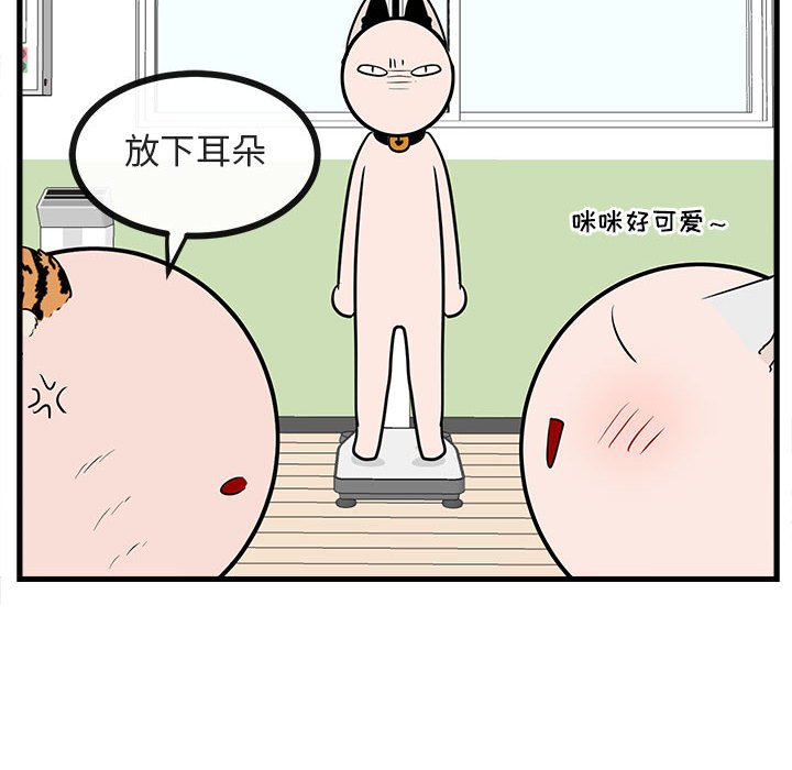 第41話 - 第91张