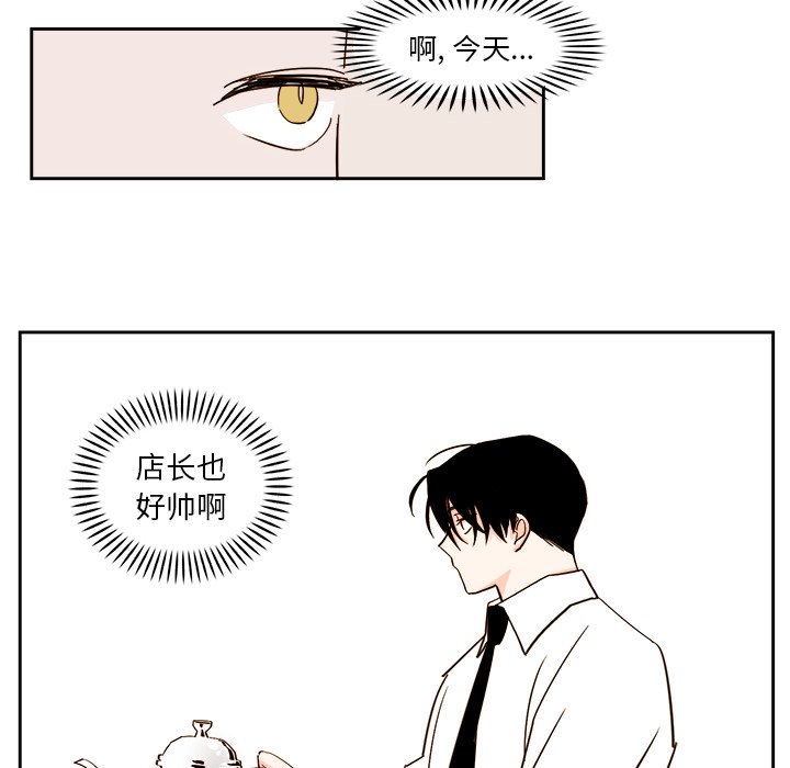 第43話 - 第11张