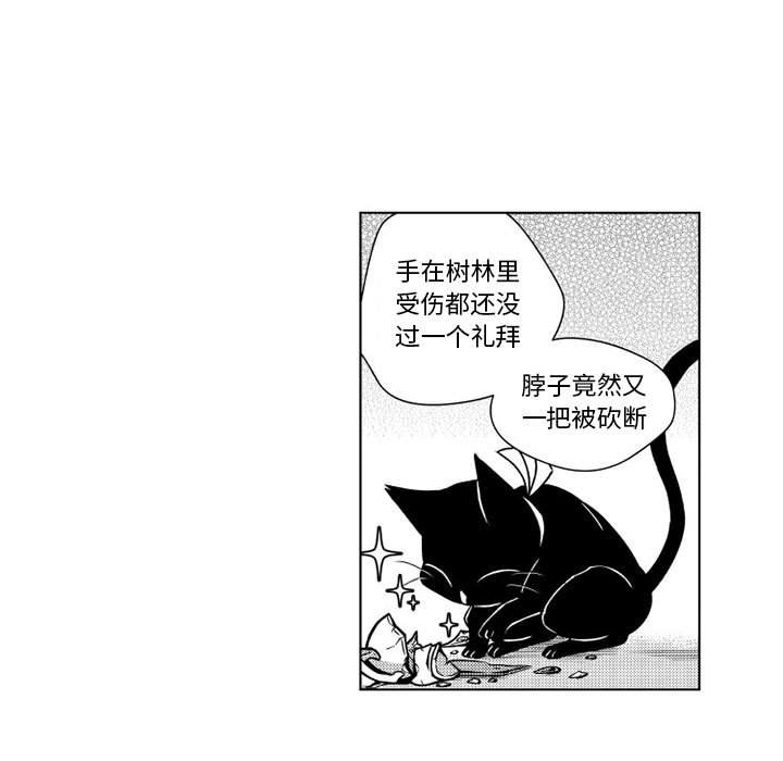 第12話 - 第11张