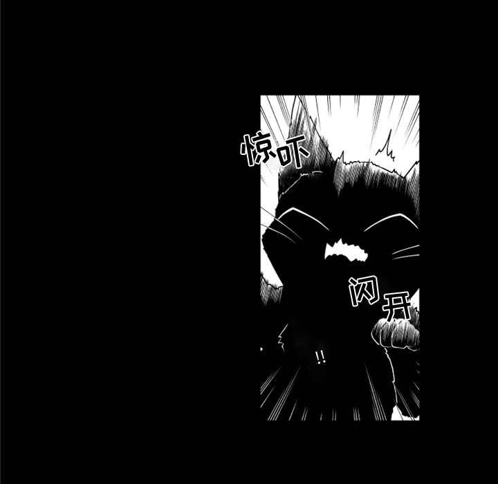第24話 - 第31张