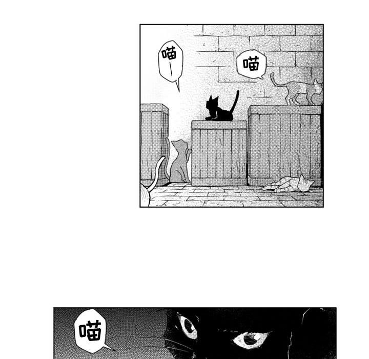 第42話 - 第5张