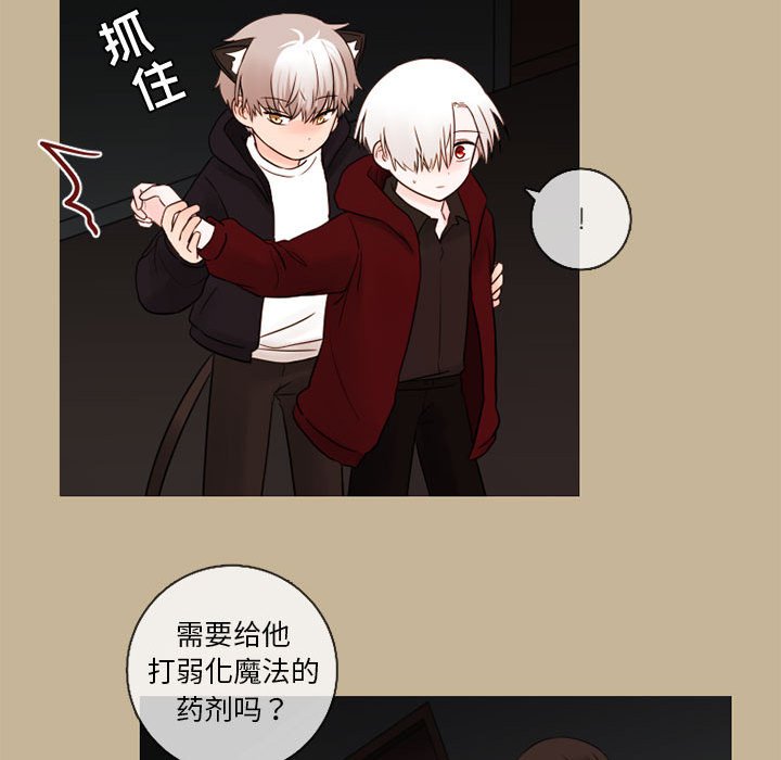 第25話 - 第62张