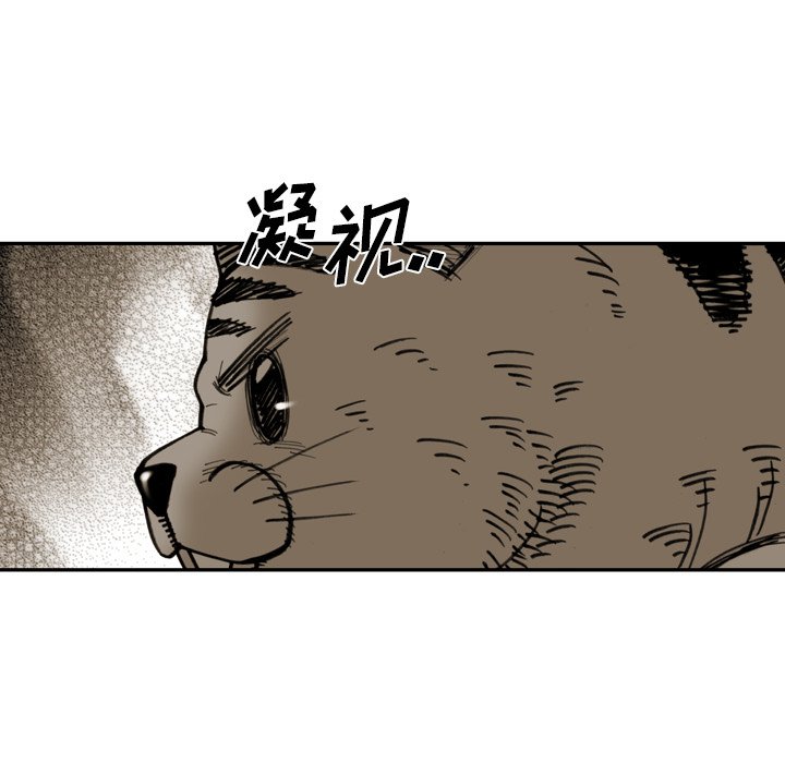 第34話 - 第50张