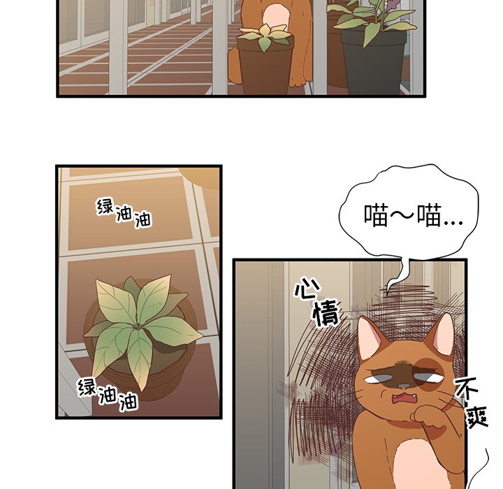 第7話 - 第43张
