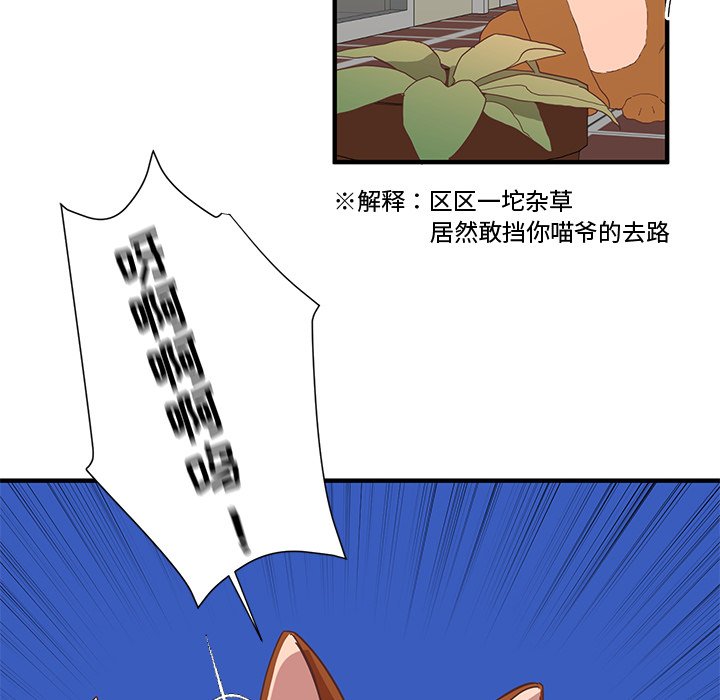 第7話 - 第44张