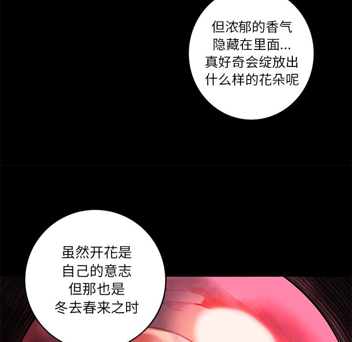 第11話 - 第41张